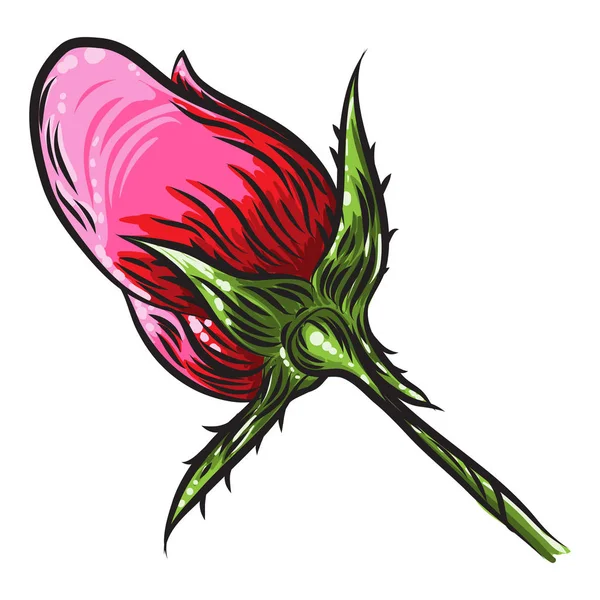 Elemento Diseño Ramo Floral Flor Rosa Jardín Rojo Tallo Rama — Vector de stock