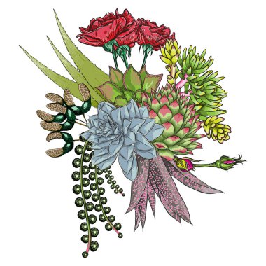 Egzotik buket küme. Çiçekler. Çiçek koleksiyonu ile çeşitli bitkilerin. Sansevieria, yılan bitki, kırmızı zencefil, devekuşu plume, pembe koni, papatya, gül. Elle çizilmiş şekil. Vektör.