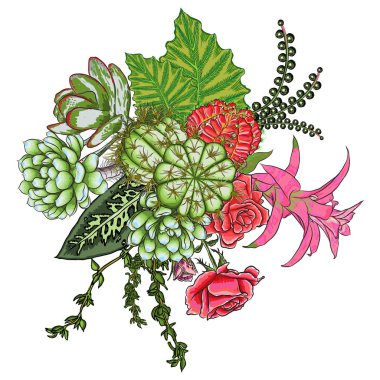 Egzotik buket küme. Çiçekler. Çiçek koleksiyonu ile çeşitli bitkilerin. Sansevieria, yılan bitki, kırmızı zencefil, devekuşu plume, pembe koni, papatya, gül. Elle çizilmiş şekil. Vektör.