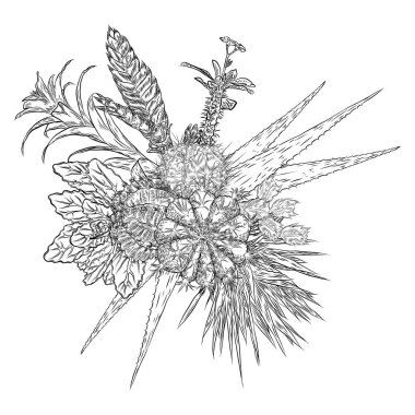 Succulents, kaktüs, yeşil bitkiler, çizim botanik bileşimi. Siyah beyaz handdrawn buket. Eti dövme kavramı. Boyama kitabı sayfası. Tüm çiçekler ayrı ayrı düzenlenebilir. Vektör.