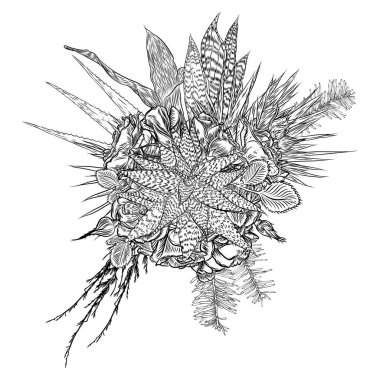 Çiçek buketi. Çiçek koleksiyonu çeşitli egzotik orman bitkileri ile. Hava bitki, kaktüs, etli, Bromelia, aloe vera, Houseplant, gül. Tasarım Düğün ve kadınlar günü kartları amaç için. Vektör.
