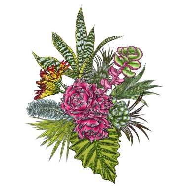 Çiçek buketi. Çiçek koleksiyonu çeşitli egzotik orman bitkileri ile. Hava bitki, kaktüs, etli, Bromelia, aloe vera, Houseplant, gül. Tasarım Düğün ve kadınlar günü kartları amaç için. Vektör.