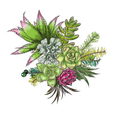 Çiçek buketi. Çiçek koleksiyonu çeşitli egzotik orman bitkileri ile. Hava bitki, kaktüs, etli, Bromelia, aloe vera, Houseplant, gül. Tasarım Düğün ve kadınlar günü kartları amaç için. Vektör.