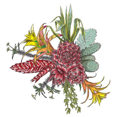 Yeşil renkli sulu buket ikebana dövme kavramı. Egzotik echeveria, otlar, çeşitli bitkilerin seçimi ve bırakır. Doğal yeşil. Eti dövme kroki. Benzersiz gerçek bitkiler başvuru. Vektör.