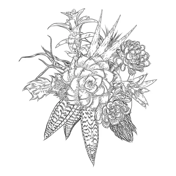 Σύνθεση Κάκτων Πράσινα Φυτά Παχύφυτα Βοτανικός Σχεδίασης Μαύρο Λευκό Handdrawn — Διανυσματικό Αρχείο