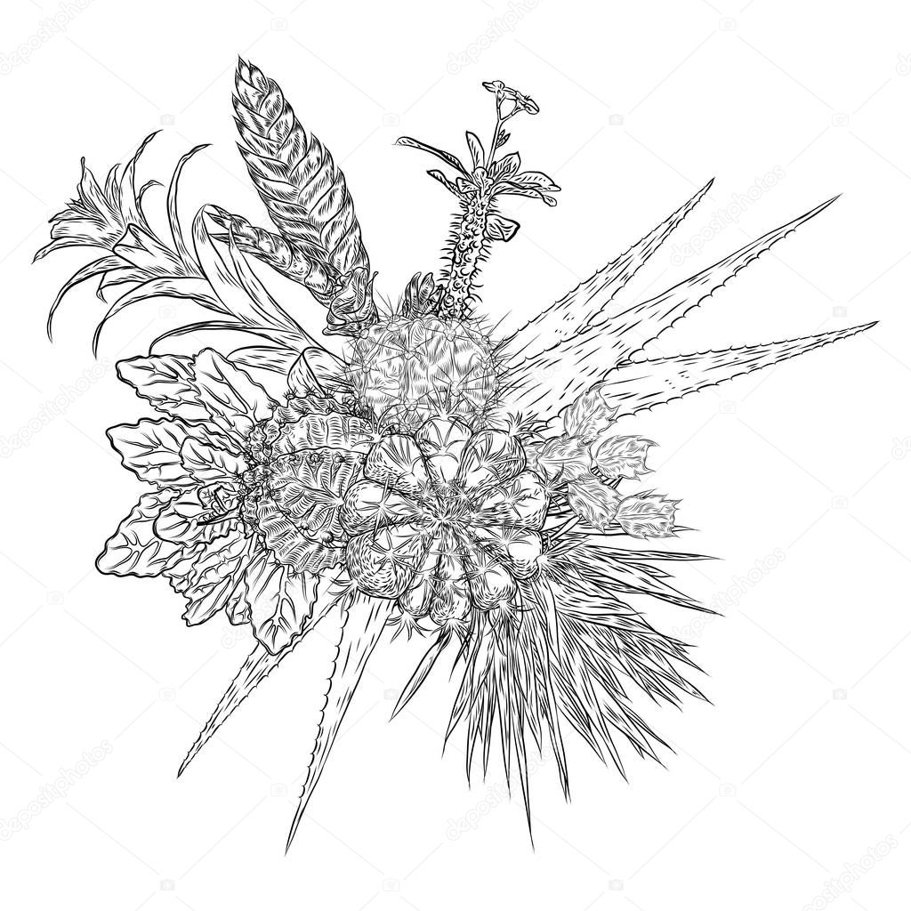 Composition of succulents, cactus, green plants, botanical drawing. Black white handdrawn bouquet. Flesh tattoo concept. Coloring book page. All flowers are editable separately. Vector.