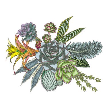 Çiçek buketi. Çiçek koleksiyonu çeşitli egzotik orman bitkileri ile. Hava bitki, kaktüs, etli, Bromelia, aloe vera, Houseplant, gül. Tasarım Düğün ve kadınlar günü kartları amaç için. Vektör.