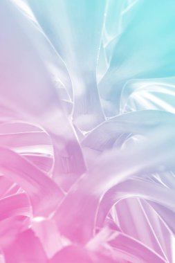 Kaktüs bitki yakın canlı kalın degrade holografik renkler birden çok ses tonuyla. Moda sanat kavramına. En az gerçeküstücülük. Pastel pembe bir arka plan ile tropikal etli yaprakları.