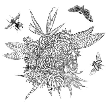 Egzotik buket böcekler ve uçan böcekler ile ayarla. Çiçekler. Çiçek koleksiyonu ile çeşitli bitkilerin. Sansevieria, yılan bitki, kırmızı zencefil, devekuşu plume, pembe koni, papatya, gül. Elle çizilmiş. Vektör.
