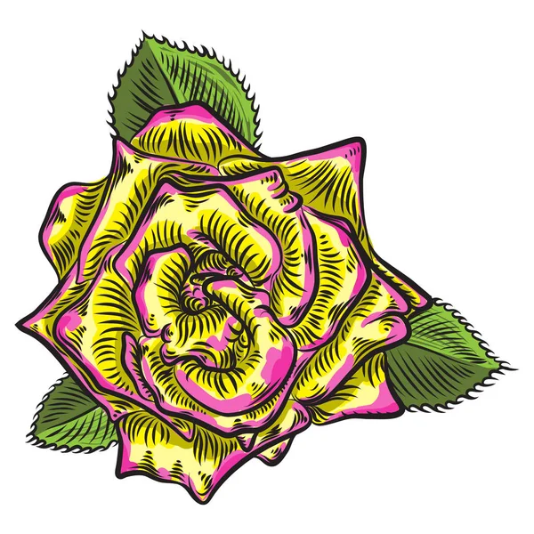 Róża Kwiat Kwiatowy Element Zielonymi Liśćmi Bukiet Design Ogród Rose — Wektor stockowy