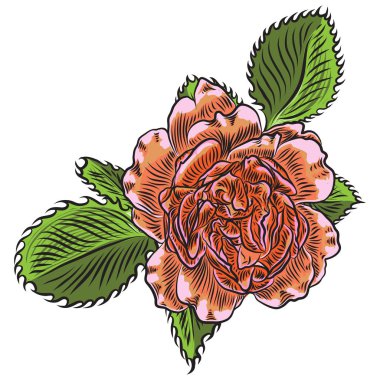 Gül çiçek öğe buket tasarımı, Bahçe için yeşil yaprakları ile yükseldi. Düğün kartı çizim tasarım davet ediyoruz. Vektör.