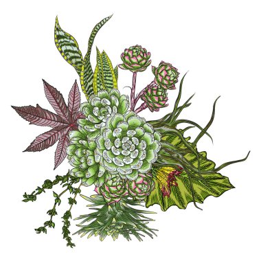 Çiçek buketi. Çiçek koleksiyonu çeşitli egzotik orman bitkileri ile. Hava bitki, kaktüs, etli, Bromelia, aloe vera, Houseplant, gül. Tasarım Düğün ve kadınlar günü kartları amaç için. Vektör.
