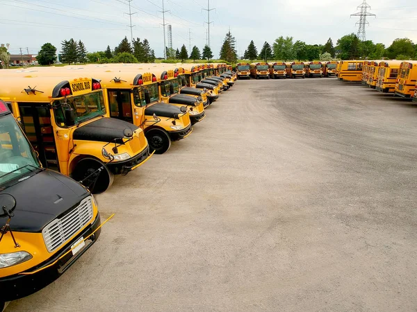 The parking full of school buses waiting for educational season. Row filled with many schoolbus ready to pick up students to school. Drone aerial view from above.