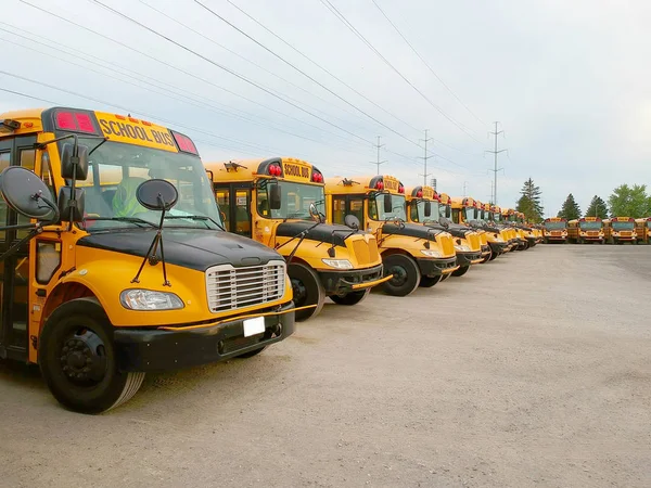 Yellow school Buses in parking at the evening .Front side view on parked American Buses in Canada  waiting for the educational season.