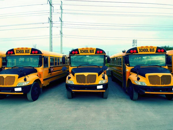 School bus vehicles ready for school educational season. Filtered effect. Parking yard with yellow tracks and evening sky ready to pick up and drop off young college students. Back to school concept.