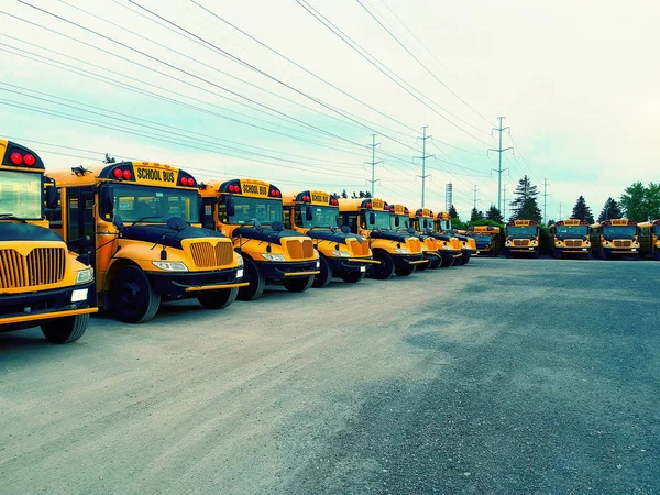 School bus vehicles ready for school educational season. Filtered effect. Parking yard with yellow tracks and evening sky ready to pick up and drop off young college students. Back to school concept.