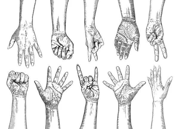 Fists Hands Concept Unity Revolution Fight Cooperation Teamwork Yes You Stock Illustration