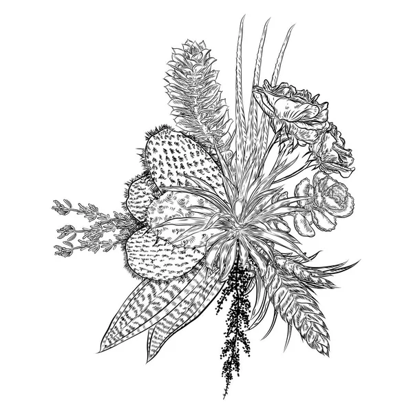 Composición Suculentas Cactus Plantas Verdes Dibujo Botánico Ramo Blanco Negro — Vector de stock