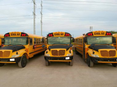 Sarı okul otobüs park akşam. Ön görünüm otobüslerde Park edilmiş Amerikan Eğitim sezonu için bekleyen Kanada.