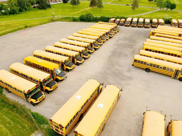 Buses parked and waiting for school. School buses on parking in row at evening background. Drone view. Bird eye view from side above.