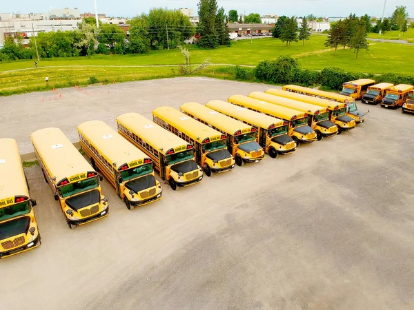 Buses parked and waiting for school. School buses on parking in row at evening background. Drone view. Bird eye view from side above.