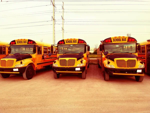 Σχολικό Λεωφορείο Οχήματα Έτοιμο Για Εκπαιδευτική Εποχή Του Σχολείου Φιλτραρισμένα — Φωτογραφία Αρχείου