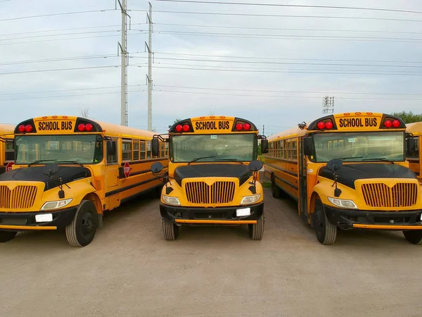 Yellow school Buses in parking at the evening .Front side view on parked American Buses in Canada  waiting for the educational season.