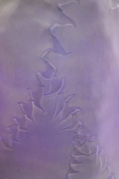 Закройте Макроснимок Экзотического Алоэ Суккулентного Листья Кактуса Текстурой Печати Темных — стоковое фото