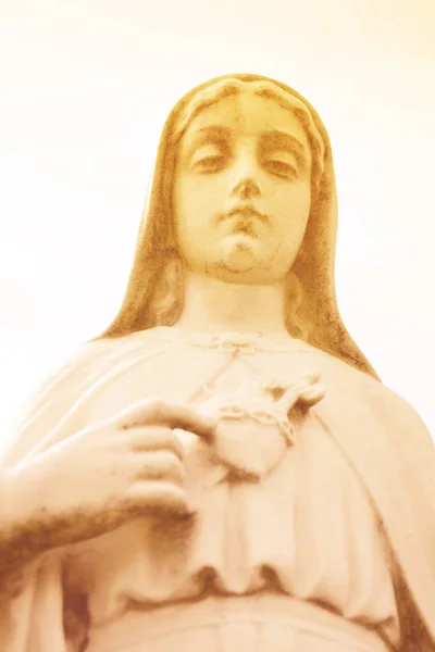 Corazón Virgen María Corazón Inmaculado Santa María Nuestra Señora Bendita — Foto de Stock