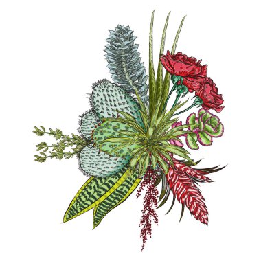 Çiçek buketi. Çiçek koleksiyonu çeşitli egzotik orman bitkileri ile. Hava bitki, kaktüs, etli, Bromelia, aloe vera, Houseplant, gül. Tasarım Düğün ve kadınlar günü kartları amaç için. Vektör.
