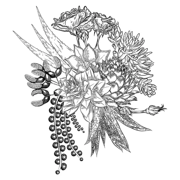 Composición Suculentas Cactus Plantas Verdes Dibujo Botánico Ramo Blanco Negro — Archivo Imágenes Vectoriales
