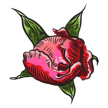 Çiçek buketi tasarım öğesi kırmızı bahçe gül çiçek kafa bud veya düğün kartı renkli davet ediyoruz. Vektör.