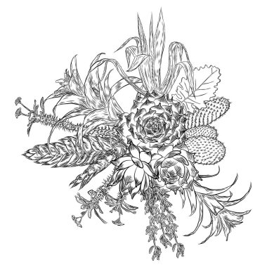 Çiçek buketi. Çiçek koleksiyonu çeşitli egzotik orman bitkileri ile. Hava bitki, kaktüs, etli, Bromelia, aloe vera, Houseplant, gül. Tasarım Düğün ve kadınlar günü kartları amaç için. Vektör.
