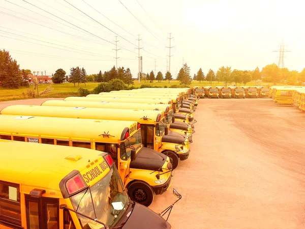 School bus vehicles ready for school educational season. Drone aerial view of parking yard with yellow tracks and evening sky ready to pick up and drop off young college students. Back to school idea.