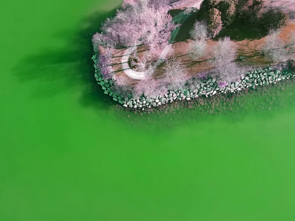 空中の鳥の目を表示カナダの島の沿岸公園 ブルーの朝穏やかな水のビーチとレジャーのための港 — ストック写真