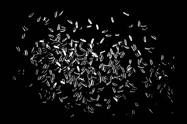 Φόντο Κόκκου Ρυζιού Χειροποίητο Εικονογράφηση Ρύζι Βιολογικής Υφή Φόντου Διάνυσμα — Διανυσματικό Αρχείο