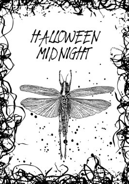 Cadılar Bayramı arka plan siyah ve beyaz ile el çizimi. Vektör 