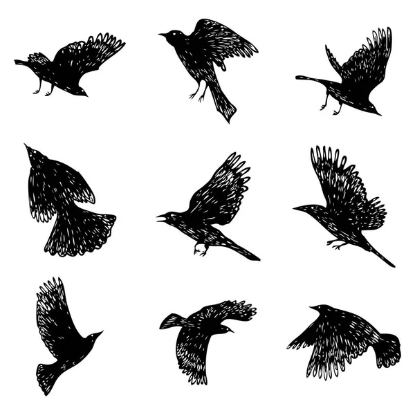 Conjunto Aves Acuden Cuervos Voladores Pájaros Dibujo Manual Vector — Archivo Imágenes Vectoriales
