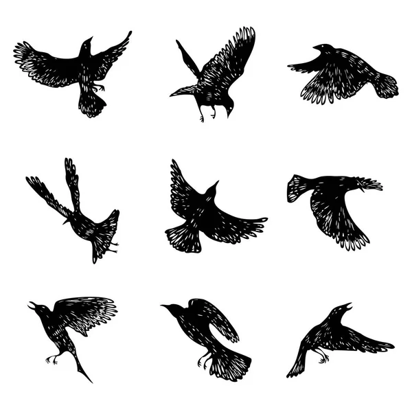 Conjunto Aves Acuden Cuervos Voladores Pájaros Dibujo Manual Vector — Vector de stock