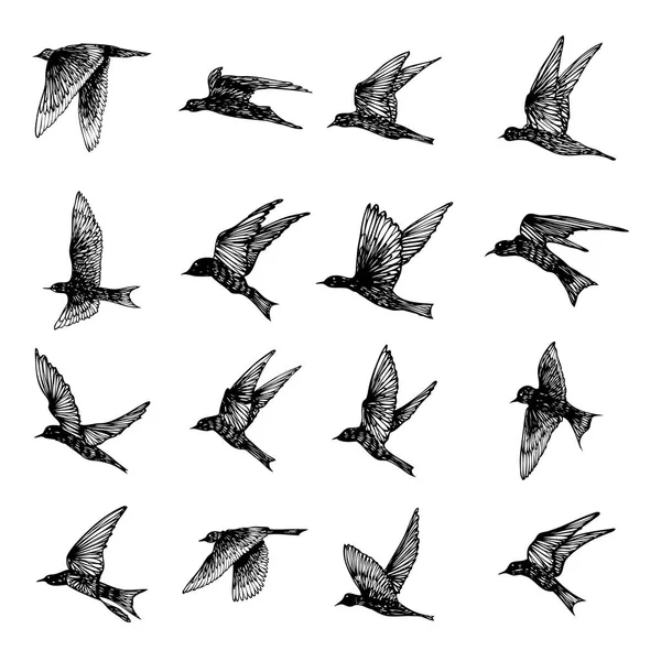 Set Birds Flock Flying Swallows Hand Drawn Textured Sketch Vector — Stock Vector