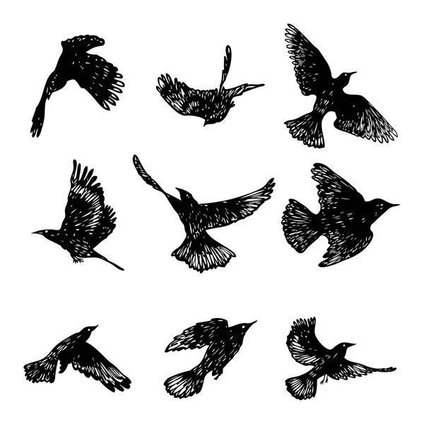 Set Black Raven Birds Hand Drawn Crows Flock Drawing Sketch — Stock Vector
