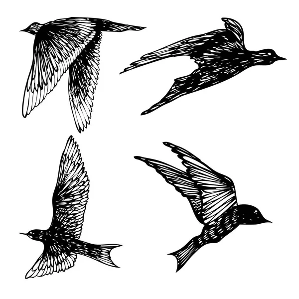 Conjunto Aves Bandada Golondrinas Voladoras Dibujo Texturizado Dibujado Mano Vector — Archivo Imágenes Vectoriales