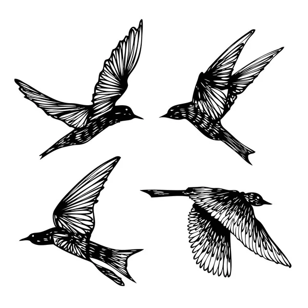 Conjunto Aves Bandada Golondrinas Voladoras Dibujo Texturizado Dibujado Mano Vector — Vector de stock