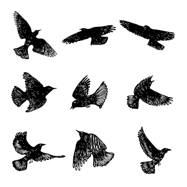 Set Black Raven Birds Hand Drawn Crows Flock Drawing Sketch — Stock Vector