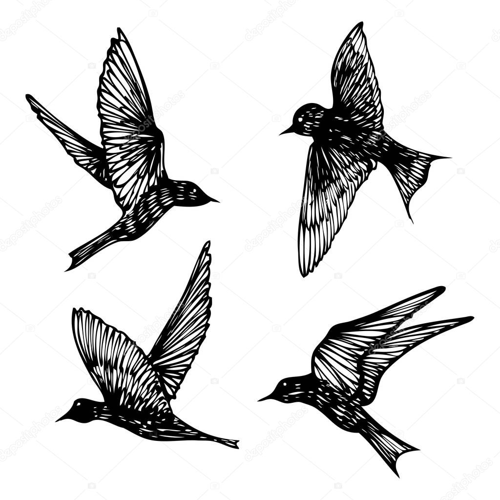 Set of birds flock, flying swallows, hand drawn textured sketch. Vector.
