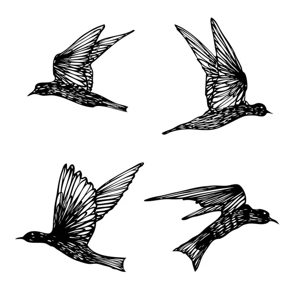 一套鸟群 飞翔的燕子 手绘的质感素描 — 图库矢量图片