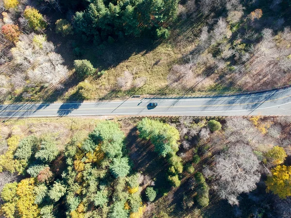 Orman ve çalılar sonbaharda çevrili yolda araba. Kanada; Kuzey Amerika.