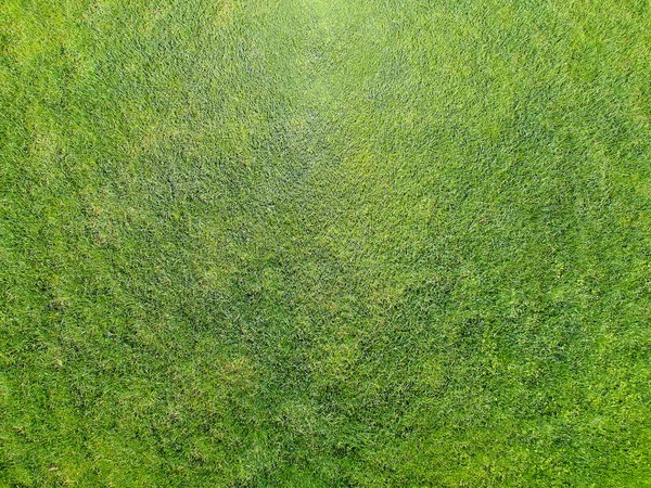 Vista Aérea Grande Pedaço Grama Verde Recém Cortada Saudável Estado — Fotografia de Stock