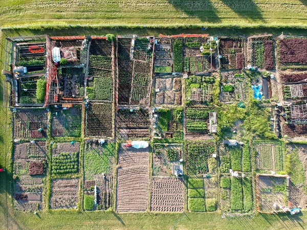 Luftaufnahme Der Städtischen Bauernhof Anbau Und Anbau Von Gemüse Der — Stockfoto
