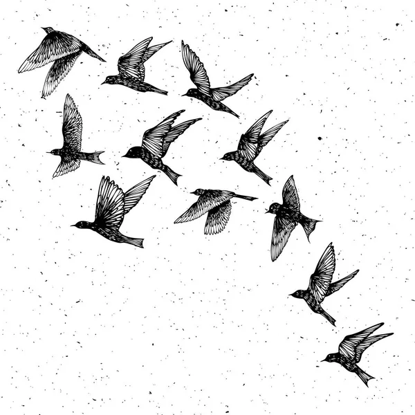 黒手描きストローク鳥の群れのセットです 図面スケッチ 点描のような抽象的なザラザラした質感ダスト汚れ粒子をテクスチャに 心に強く訴える体フラッシュ タトゥー インク ベクトル — ストックベクタ